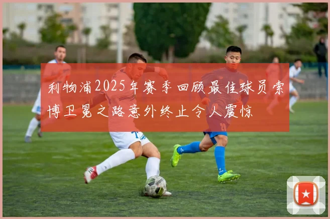 利物浦2025年赛季回顾最佳球员索博卫冕之路意外终止令人震惊