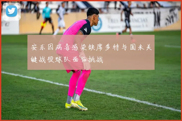 安东因病毒感染缺席多特与国米关键战役球队面临挑战