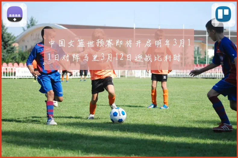 中国女篮世预赛即将开启明年3月11日对阵马里3月12日迎战比利时