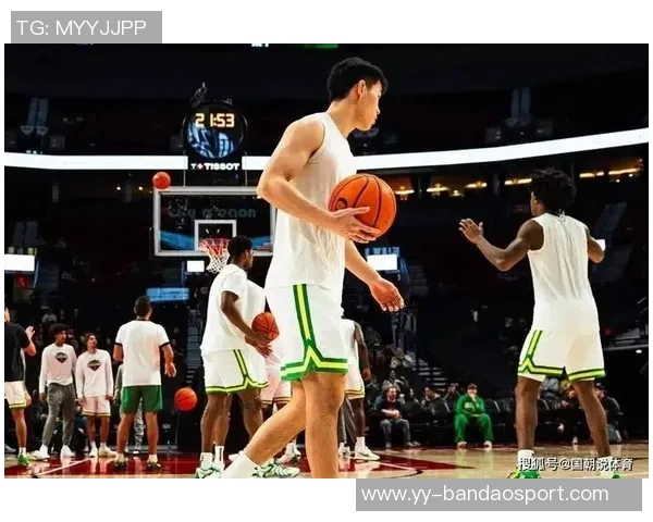 媒体人透露谢尔斯塔德赛季报销林葳将稳坐球队主控位置